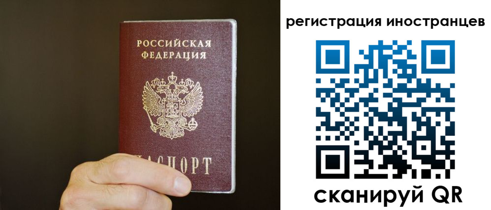 прописка в Красноармейске